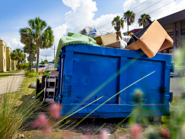 Best Furniture Removal  in Mount Morris, MI