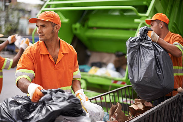 Best Demolition Debris Removal  in Mount Morris, MI